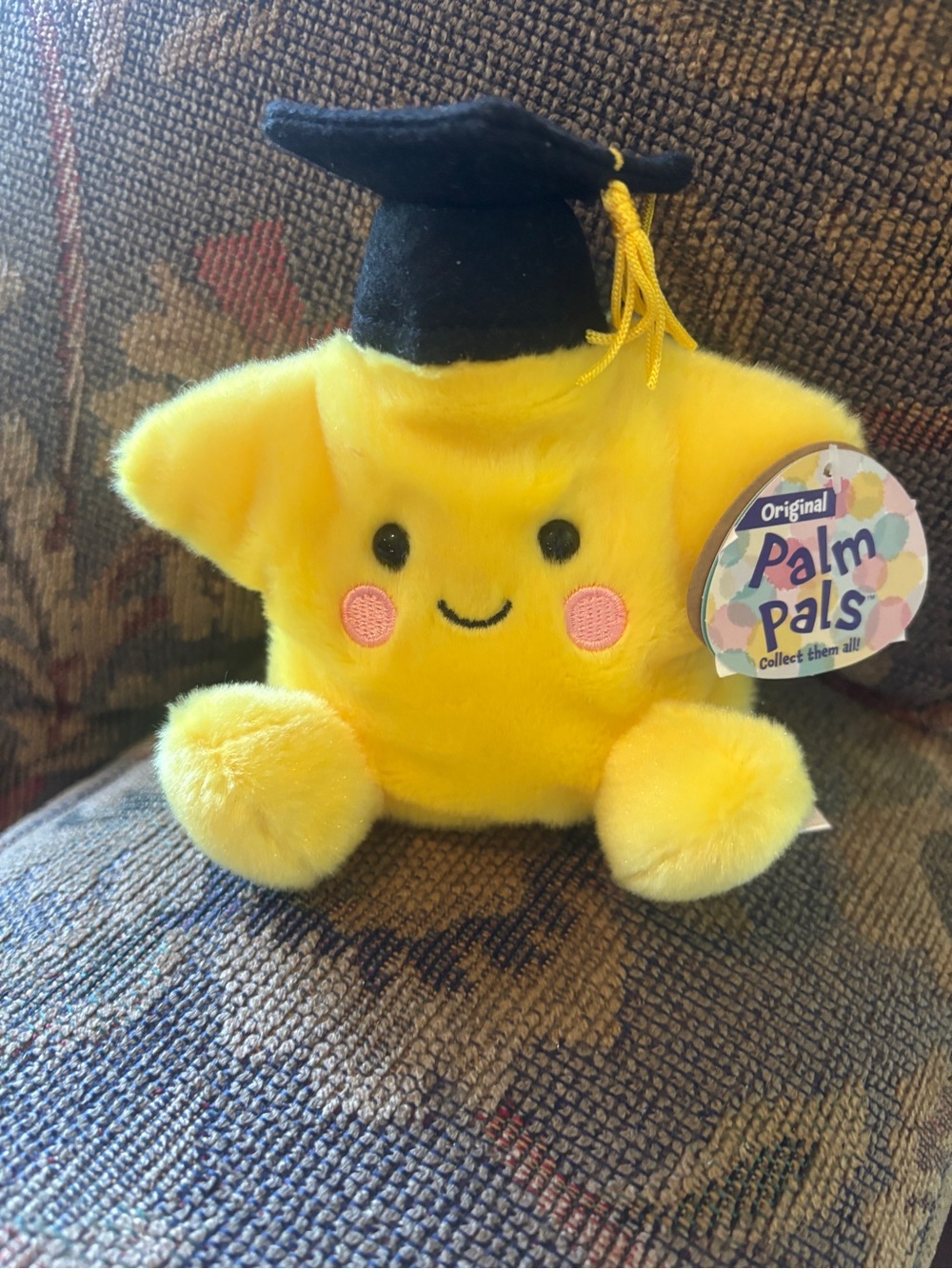 New Palm Pals Yellow Graduation Star Plush Stuffed Animal